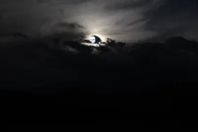 DSC_5756 (Large).JPG